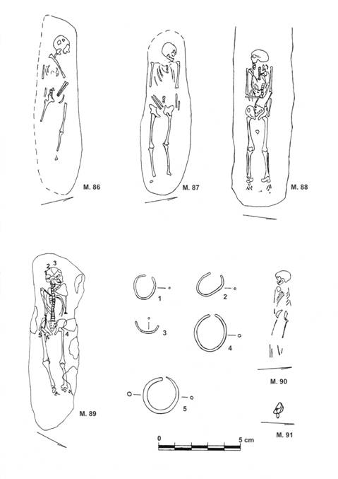 Pl. VIII. Alba Iulia – Str. Brînduşei / 2004 ( după Dragotă-colab. 2005 )